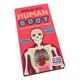 Picture of Build the Human Body (Book & Model)