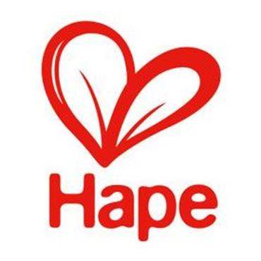 Picture for brand Hape