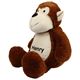 Picture of Personalised Monkey Soft Toy