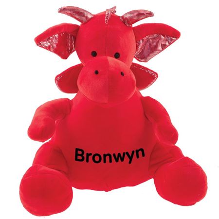 Picture of Personalised Dragon Soft Toy
