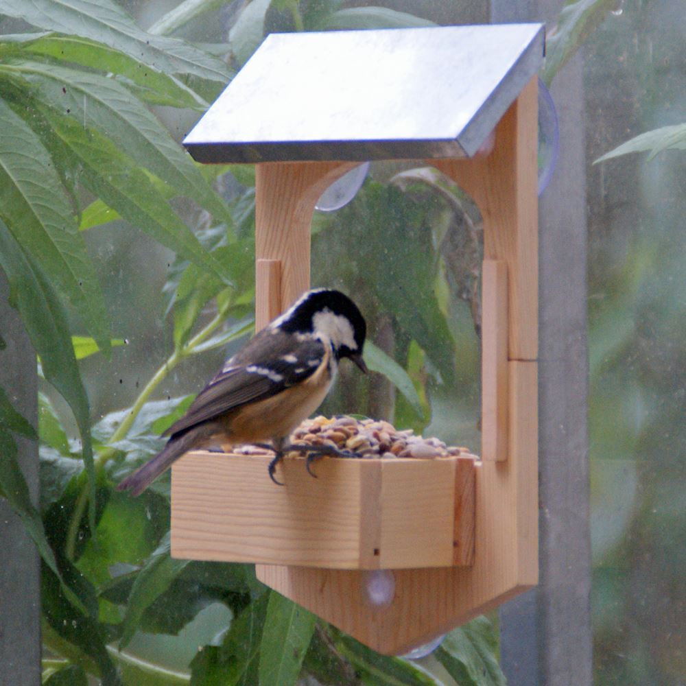 Build Your Own Bird Feeder