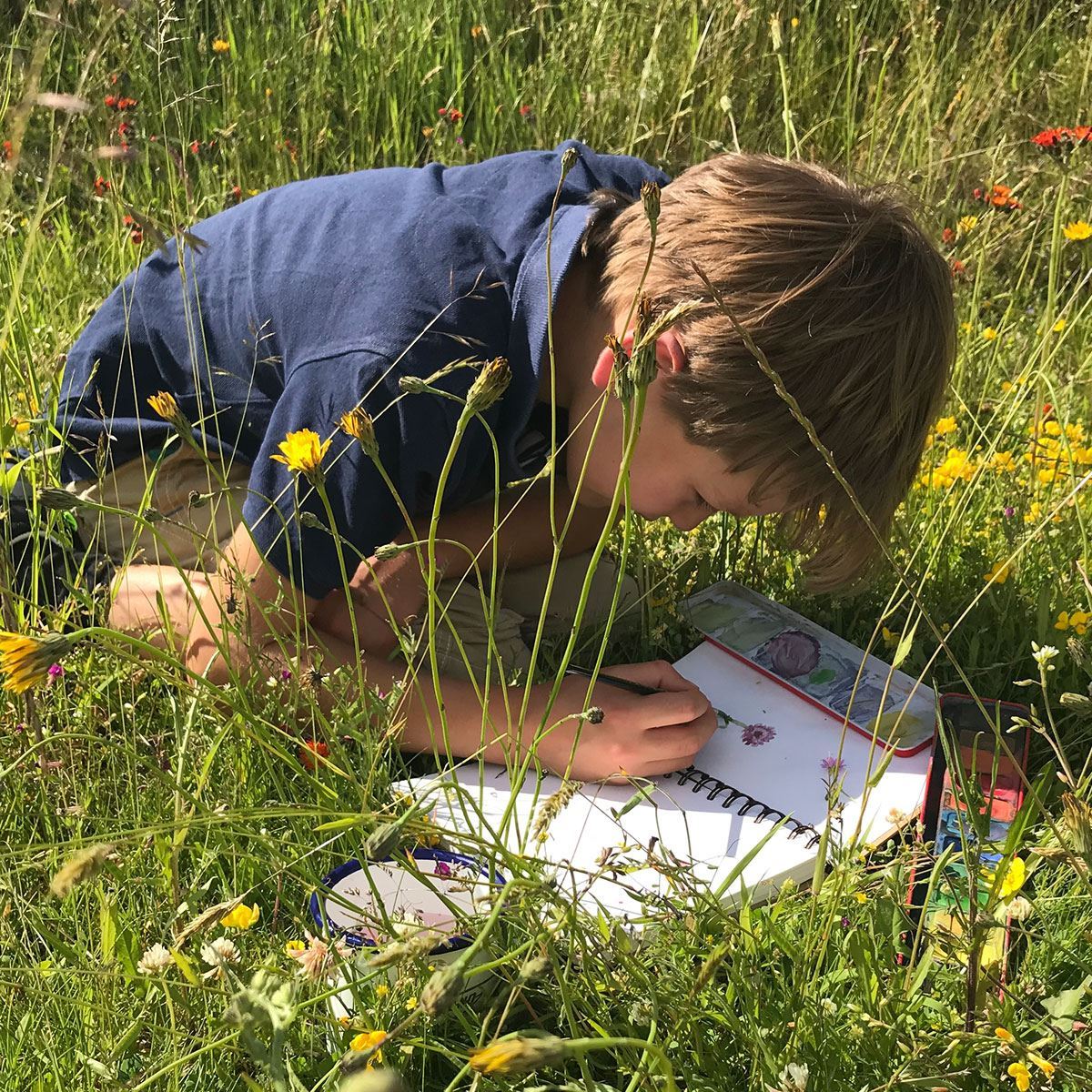 The Herbarium Kit